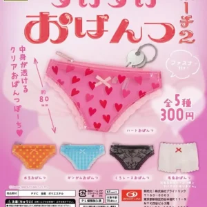 Bright Link See Through Panty Pouch 2-Pack Breathable Travel Organizer