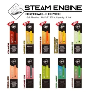 Cool Mint | Steam Engine Disposable Device