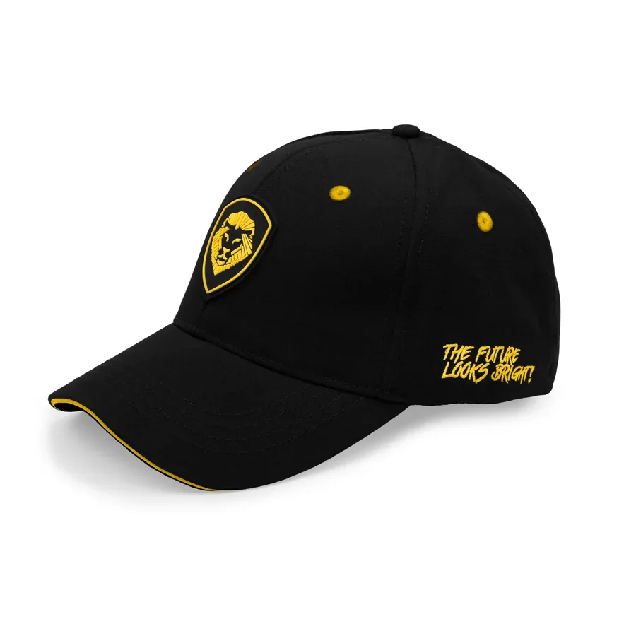 VT Lion Shield Logo Flex Fit Hat - Image 2