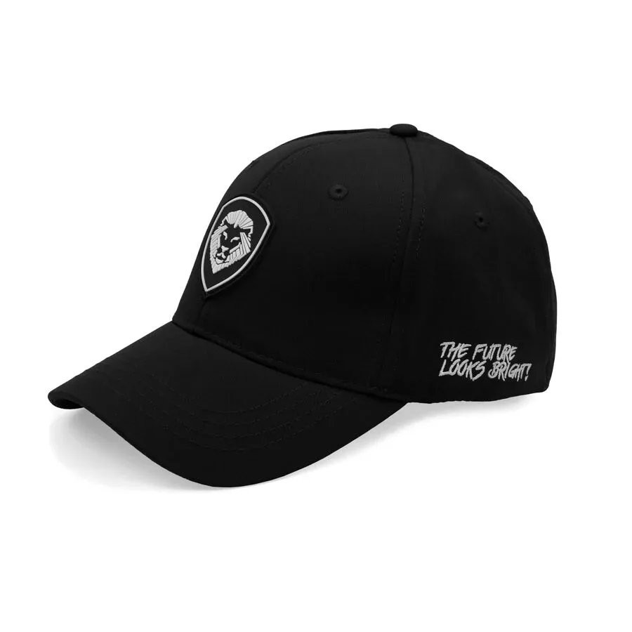 VT Lion Shield Logo Flex Fit Hat - Image 2